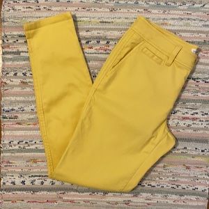 NWT Market & Spruce Rosabel Skinny Pants size 6